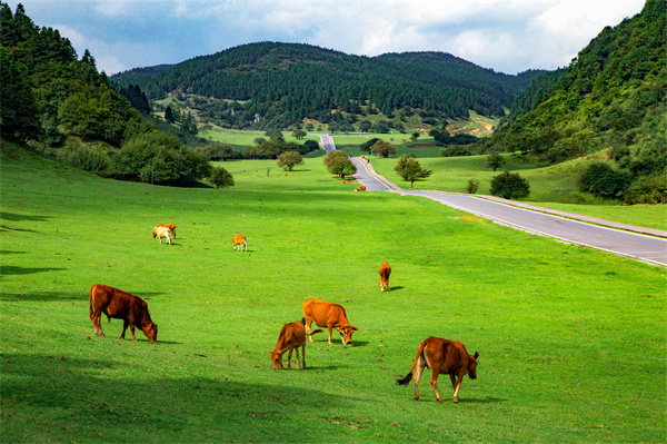武隆秋日「頂配」周末計劃丨48小時漫游秘境 重慶籍Pass僅59.9元無限次入園！